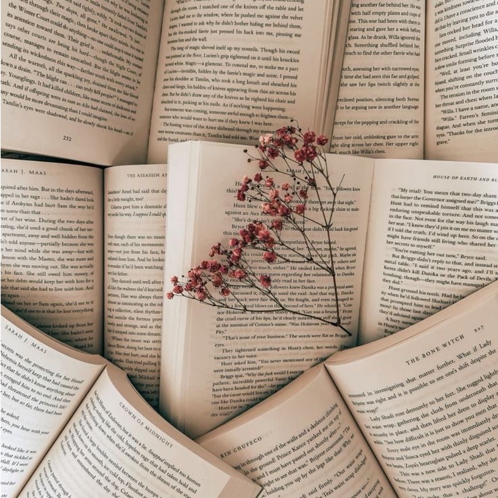 Blind Date with a Book Gift Set - Picture 2 of 3